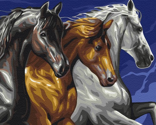 Peinture par numéros avec