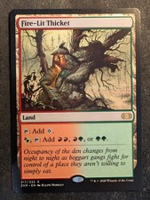 Fire-Lit Thicket - Double Masters (MTG)