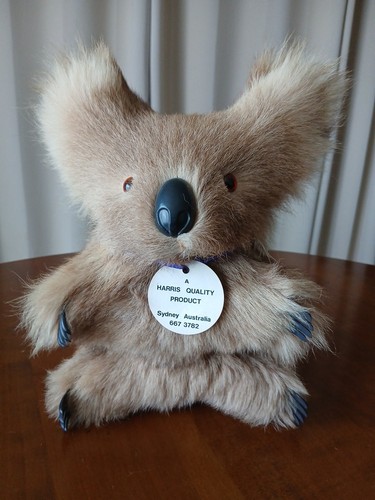 Peluche koala véritable - peluche,
