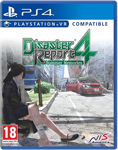 Disaster report summer - report, 4