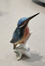 Oiseau Martin Pêcheur En