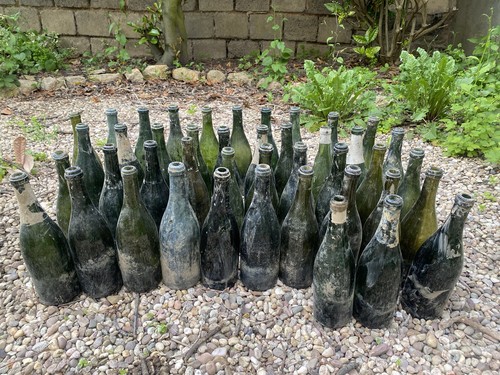 Bouteilles champagne - bouteilles, de