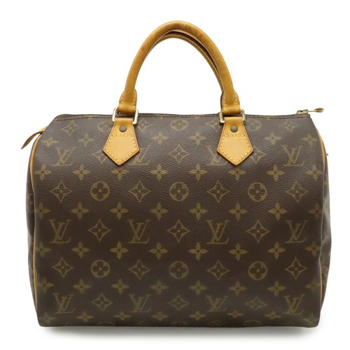 Louis vuitton monogram - louis, handbag