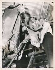 Diving suit diving photo photograph c. 1950