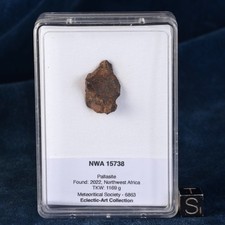 Météorite NWA 15738 de 6,21