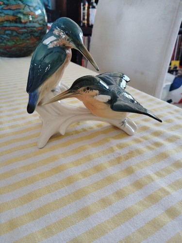 Couple oiseaux martin - oiseaux, pêcheur