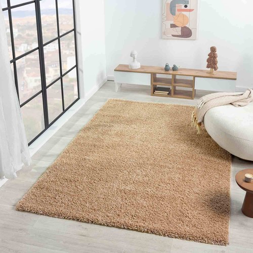 Shaggy poils longs tapis - poils,