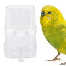 Mangeoire à oiseaux