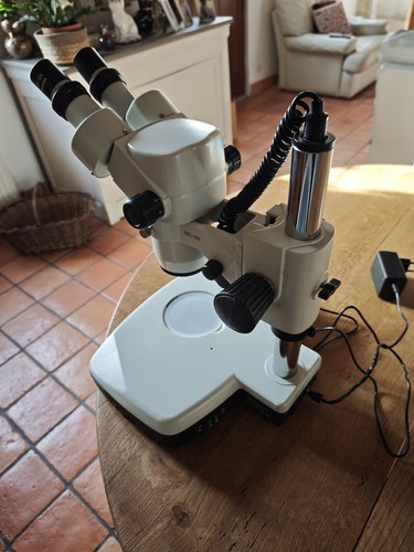 Microscope binoculaire - microscope,