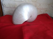 Large Nautile Pearl Shell