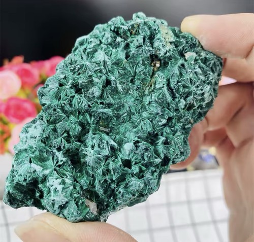 Pierre malachite verte - de,