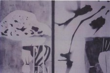 Bimal Banerjee, Provocations