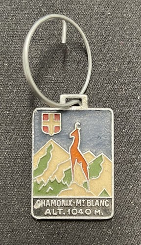 Insigne porte cles ski - ski, "