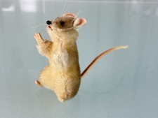 Steiff animal peluche souris 9