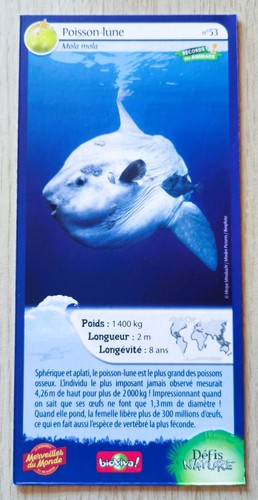 Carte merveilles monde - merveilles,