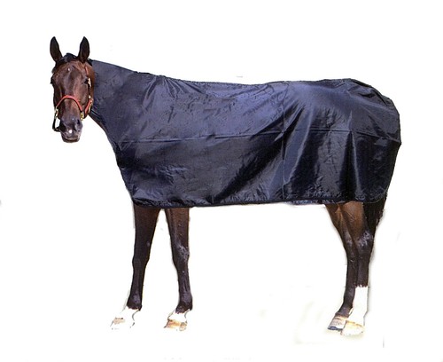 Couverture cheval imperméable - couverture,