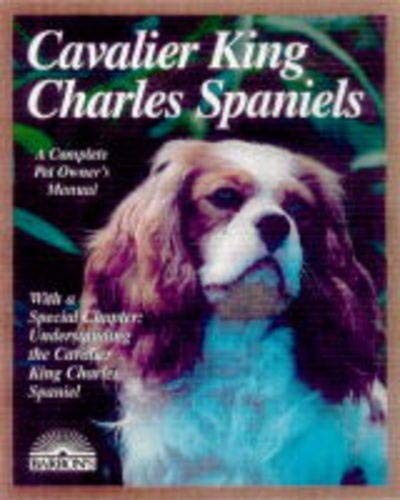 Cavalier king charles - cavalier,