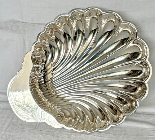 Grande coquille plat - coquille,