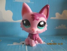 PETSHOP CHAT PERSAN N°2465