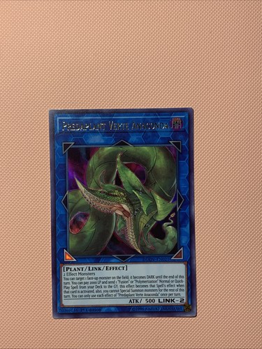 Predaplant verte anaconda - predaplant,