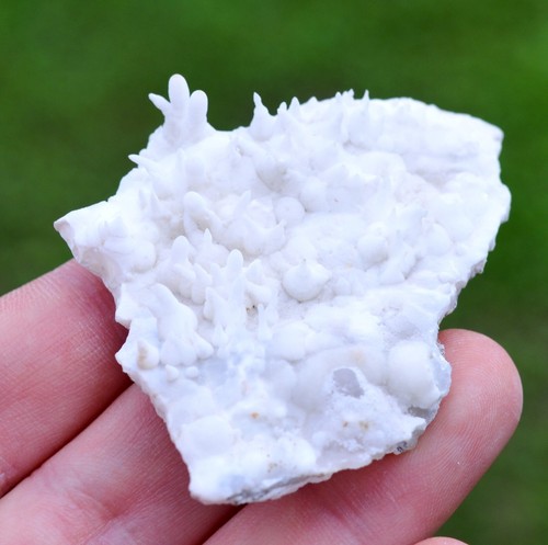 Aragonite flos ferri - aragonite, "flos
