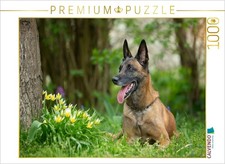 CALVENDO Puzzle Ein Motiv aus