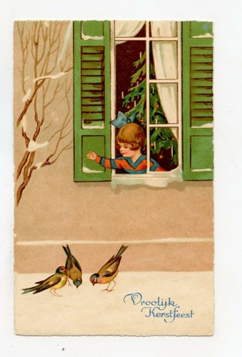 Noël bonne année oiseaux - .,