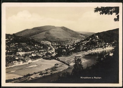 Corne cerf neckar - corne,