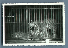 Galdin, France, Paris, Cirque