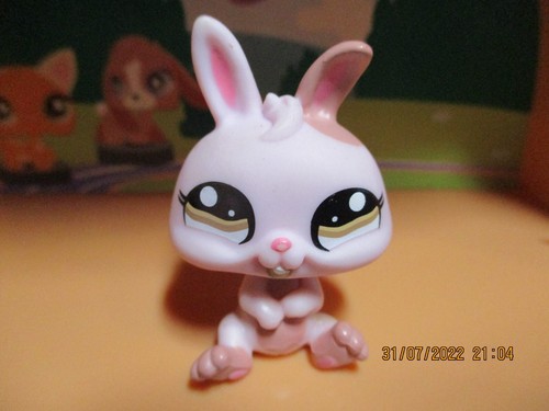 Petshop lapin nain - petshop,