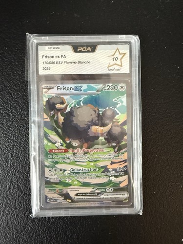 Pokémon jcc frison 170 - jcc, ex
