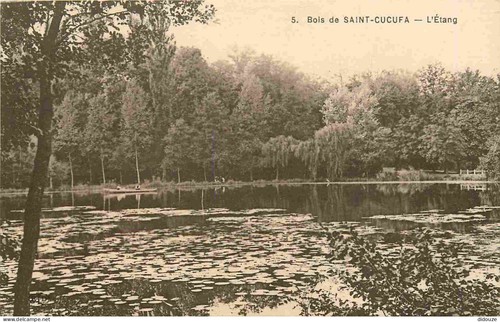 Carte postale bois de - -,