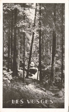VIEUX PAPIER BROCHURE