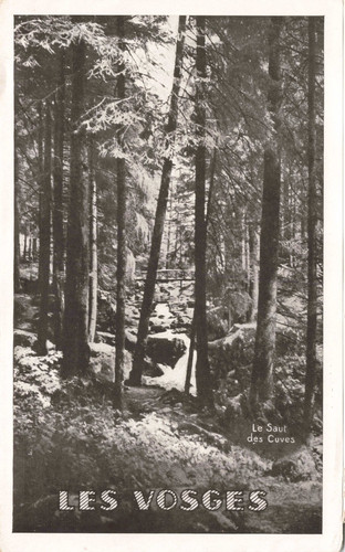 Vieux papier brochure - vieux,
