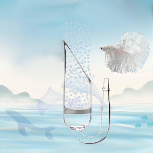 Diffuseur co2 bulles - diffuseur,