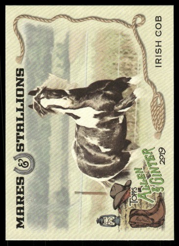 2019 topps allen ginter - &,