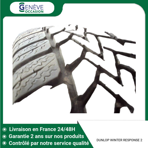 Pneu dunlop winter - dunlop,