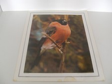 ANCIENNE PLANCHE AFFICHE