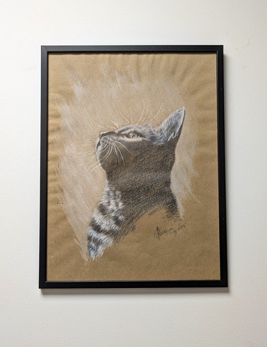 Original chaton chat portrait