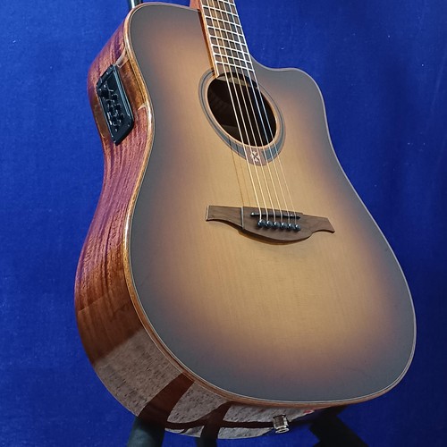 Guitare acoustique électrique