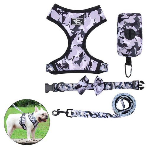 Harnais pour chien ensemble - chien,