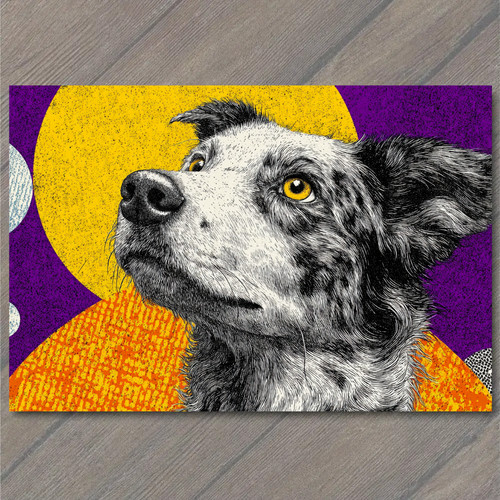 Sticker border collie dog - collie,