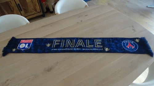 Coupe france psg lyon - france, 24