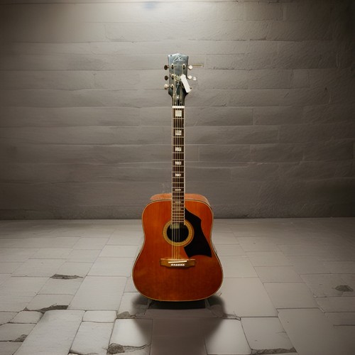 Vintage eko acoustic - vintage,