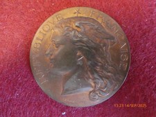 1885 MILLS REGIONAL AGRICULTURAL COMPETITION TABLE MEDAL