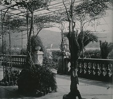MONACO c. 1950 - pergola garden terrace Monté Carlo DIV 4886