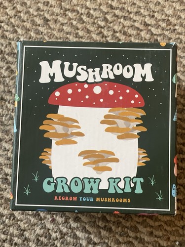 Mushroom grow kit - mushroom,