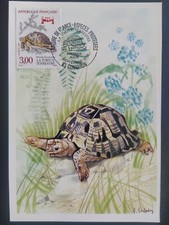 CARTE PREMIER JOUR TIMBRE TORTUE TERRESTRE N° 2722 OBLITÉRÉ GONFAR 1991