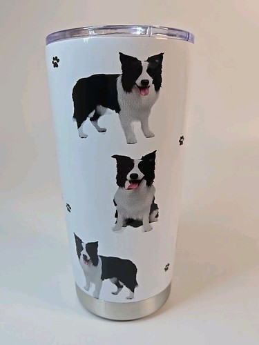 Border collie dog breed - collie,