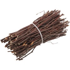  Branche Bois Branchage